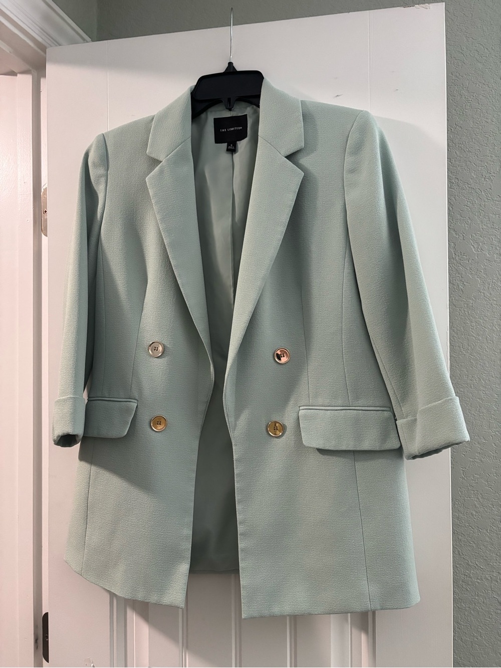 The Limited Mint Green Double-Breasted Blazer